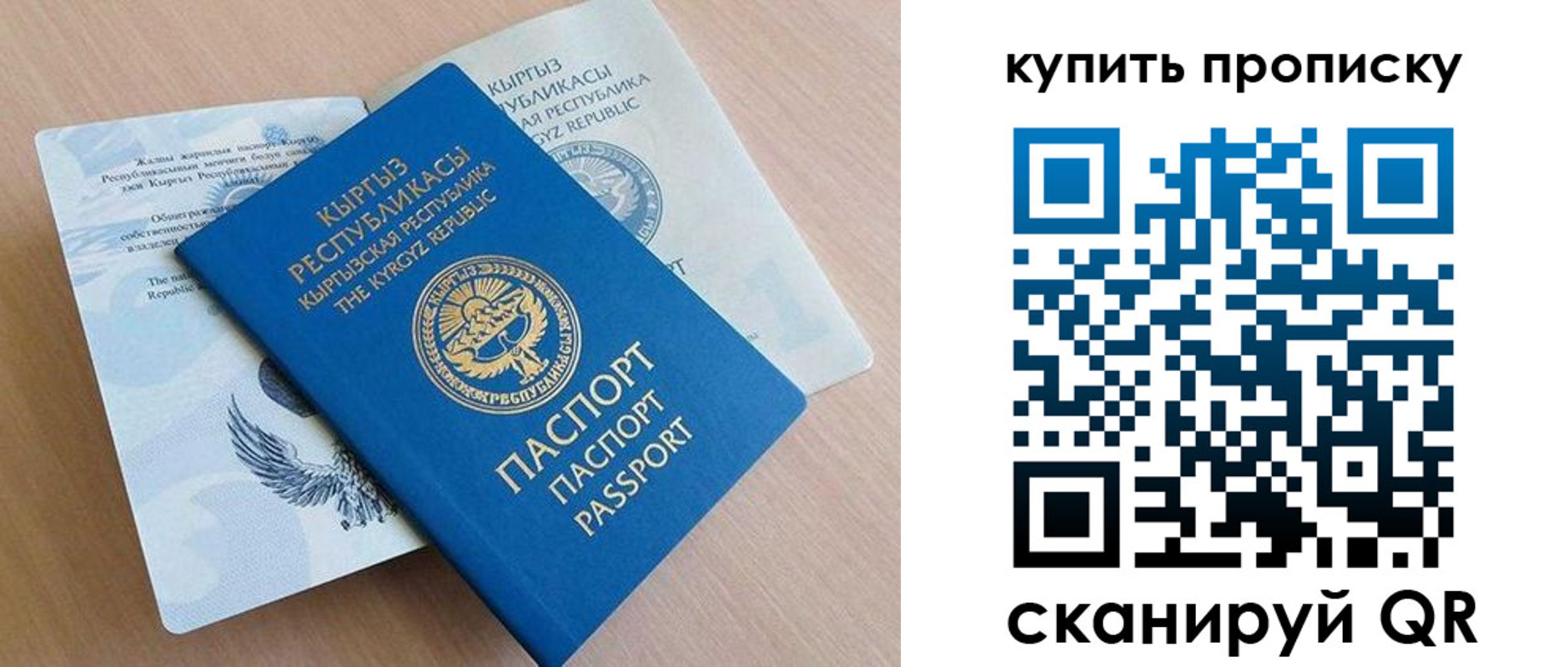 временная регистрация поиск в Калининградской области